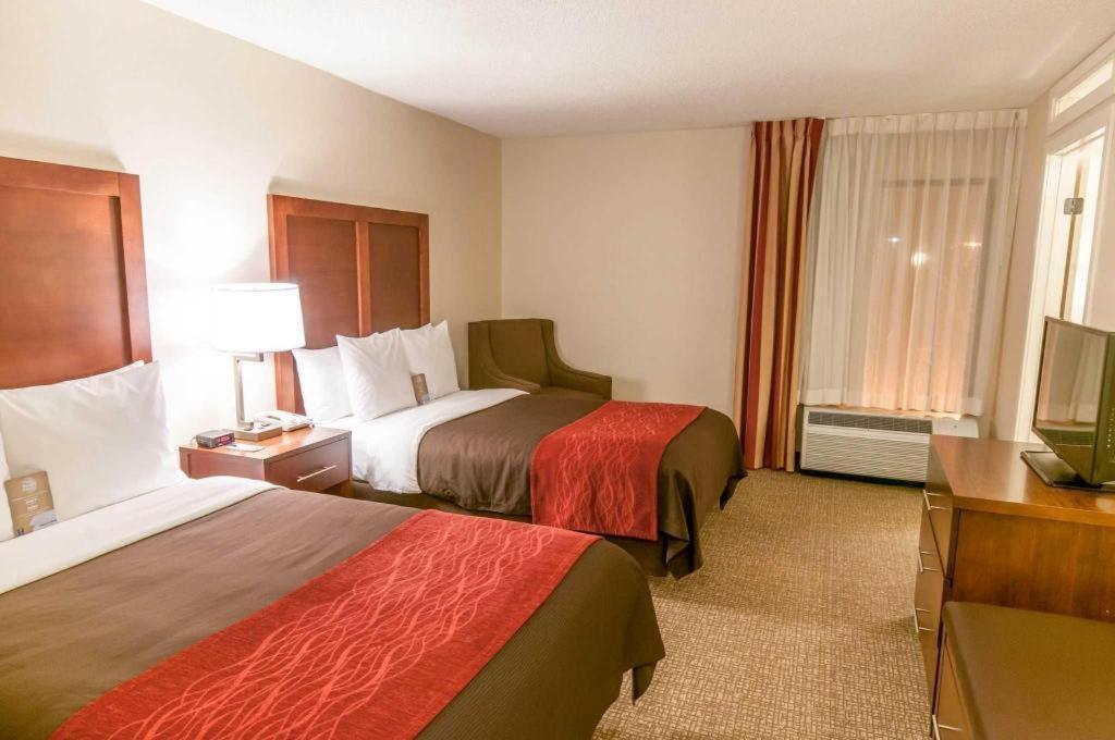 Comfort Inn Quantico Stafford Eksteriør billede