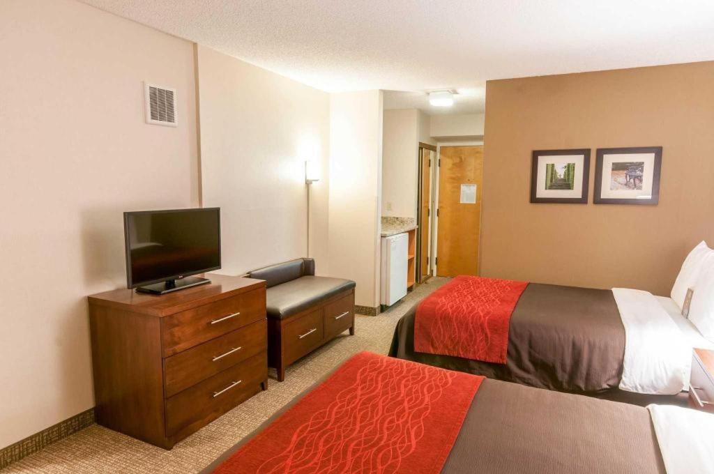 Comfort Inn Quantico Stafford Eksteriør billede