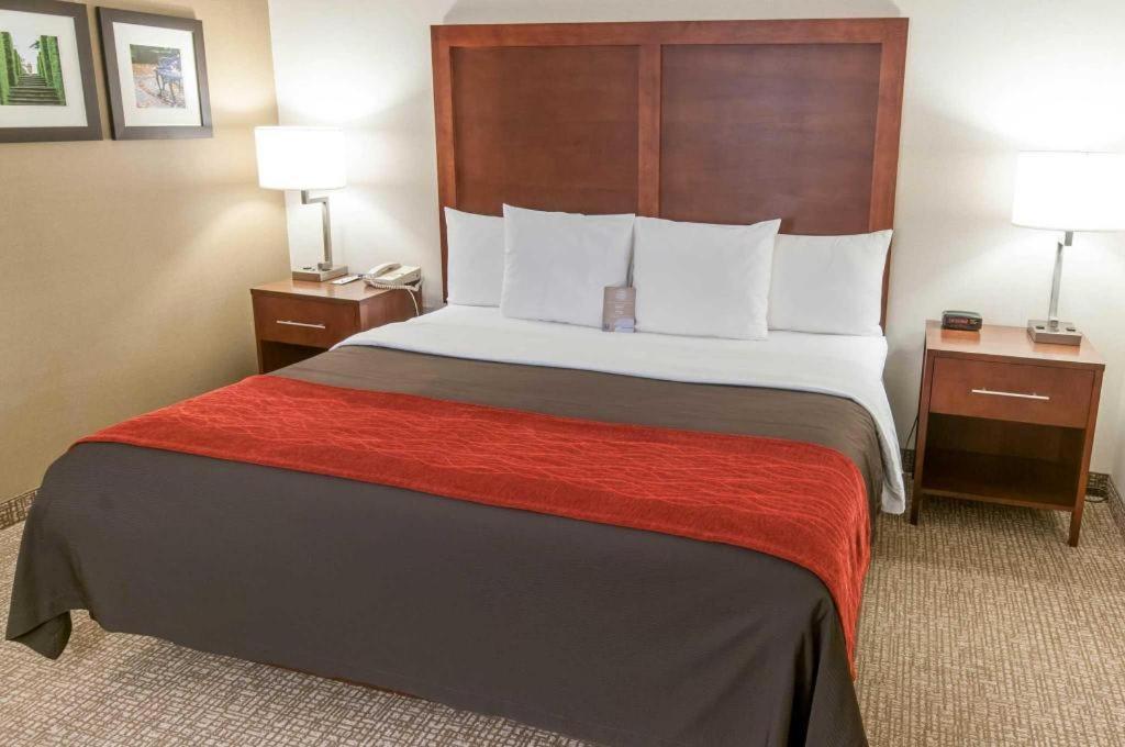 Comfort Inn Quantico Stafford Eksteriør billede