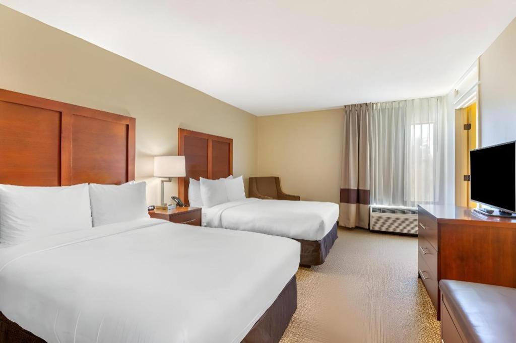 Comfort Inn Quantico Stafford Eksteriør billede