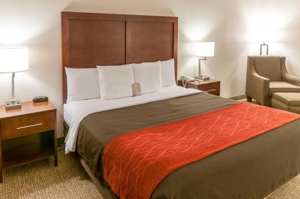 Comfort Inn Quantico Stafford Eksteriør billede