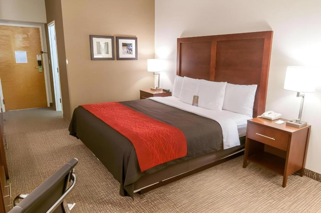 Comfort Inn Quantico Stafford Eksteriør billede