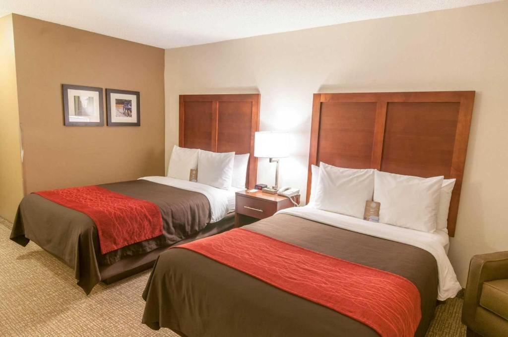 Comfort Inn Quantico Stafford Eksteriør billede