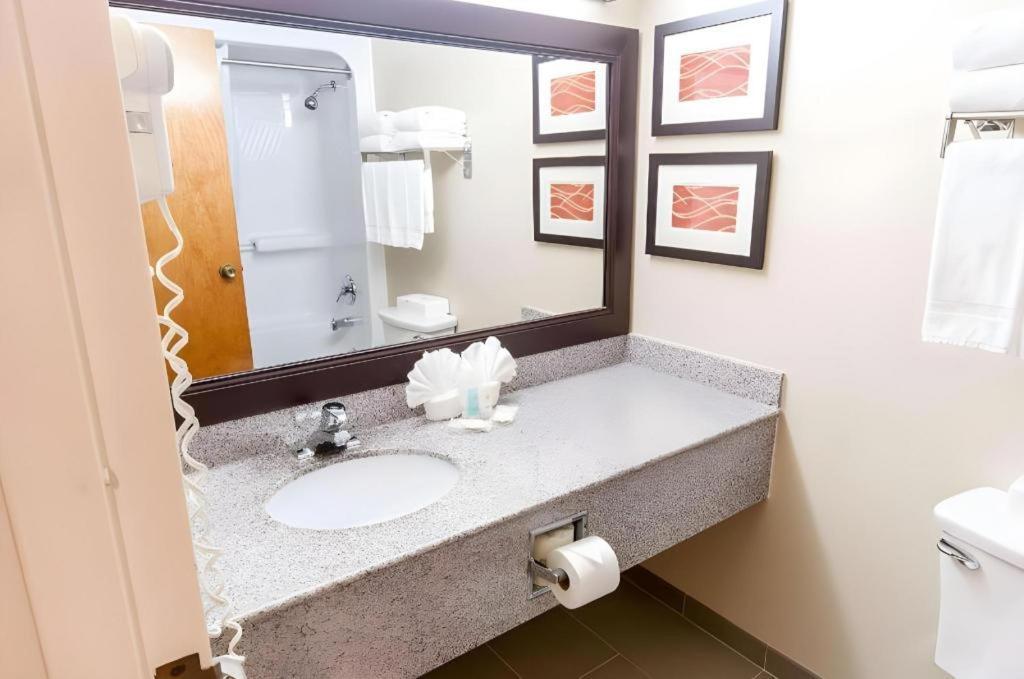 Comfort Inn Quantico Stafford Eksteriør billede